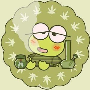 Meet your Posher, Niko